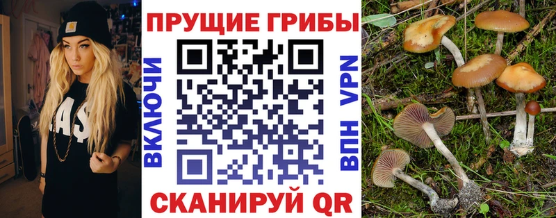 где продают   Бабушкин  Галлюциногенные грибы ЛСД 